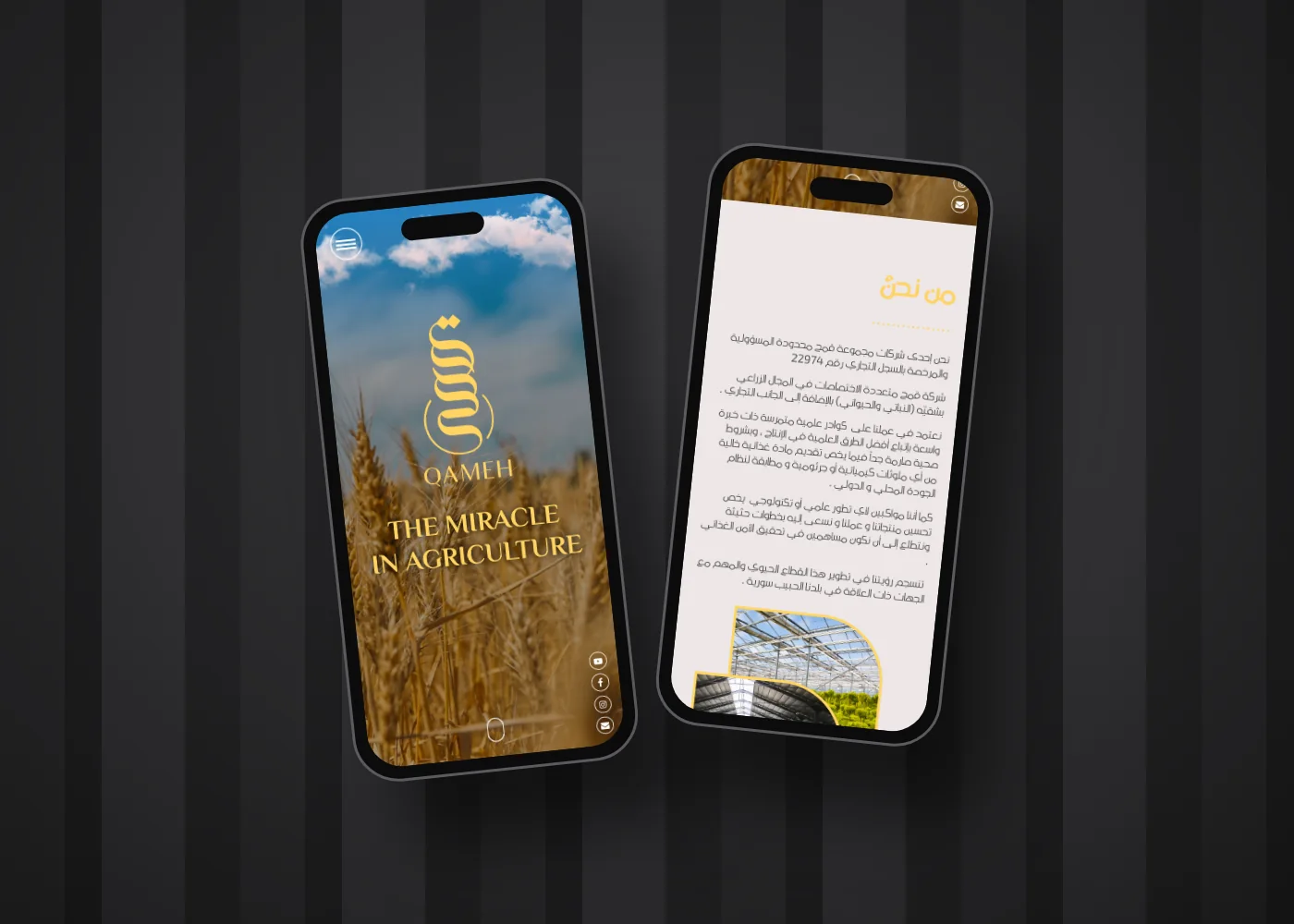 Qameh Website on a phone