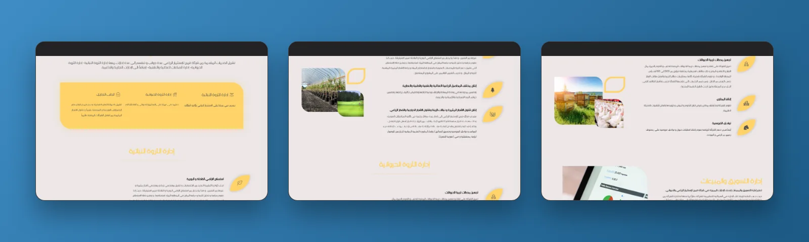 More sections of the Qameh Website website
