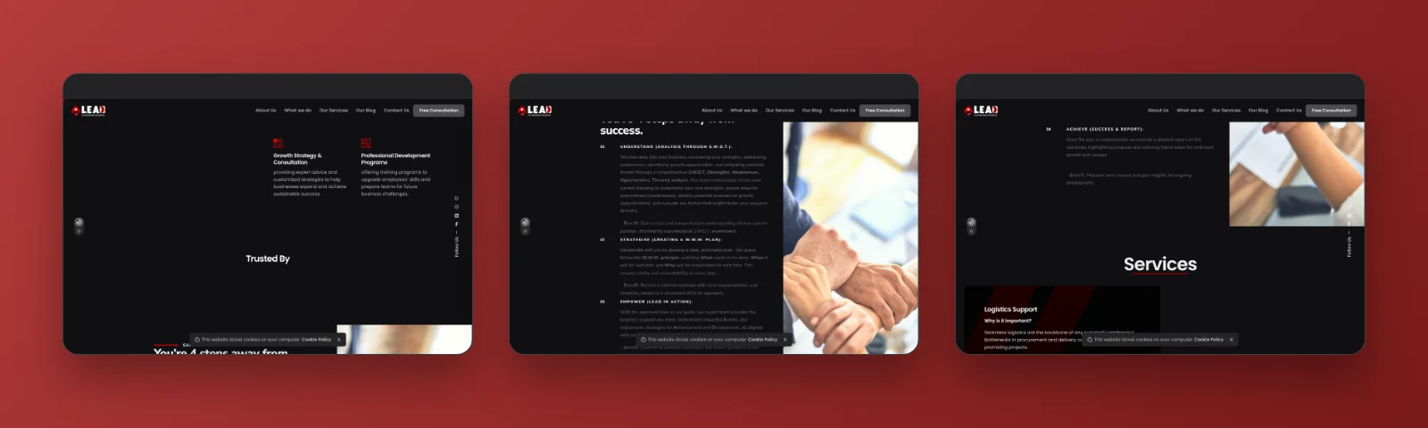 More sections of the LEAD B2B website